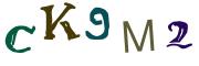 Billed-CAPTCHA