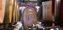 Vinproduktion