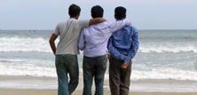 Homosexualitet