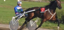 Hestesport