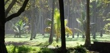 Verdens natur